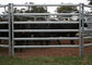 Galvanized Cattle Yard Panels Oval Tube 40x60mm With 1.5 Thickness For Farm