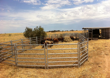 Galvanized Square Tube Livestock Fence Panel With 40X40MM For 1.5MM thickness Used in New Zealand
