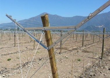 Sistema del enrejado del aguilón del material de acero durable/longitud abiertos de la aduana del enrejado de la uva de tabla