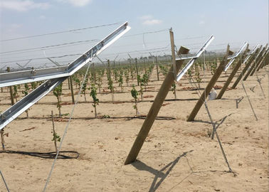 Las participaciones galvanizadas sumergidas calientes de la vid de uva del metal permiten alcance de la luz del sol hacen que la uva crece