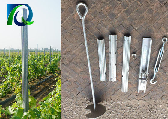 Cubra con cinc los postes revestidos del enrejado del viñedo del grueso de 275G 1.5M M