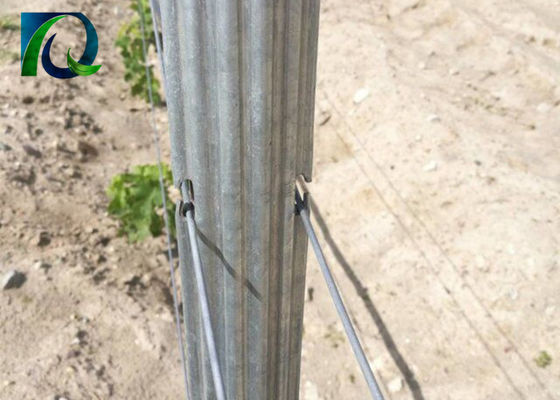 postes del enrejado del viñedo del metal de 1.5m m 2.0m m 50x40m m con los agujeros de H