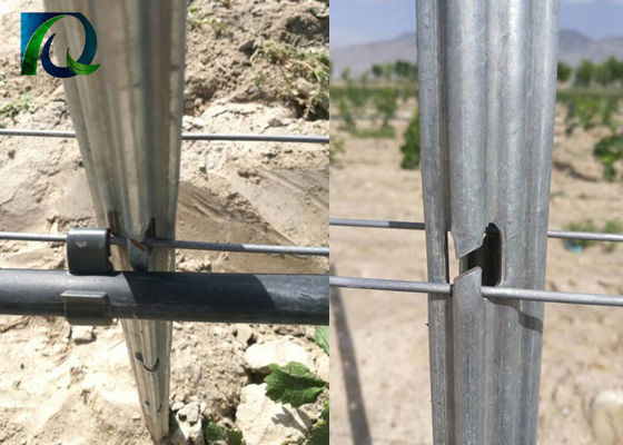 Postes antis del enrejado del viñedo del alambre 54x30m m del moho 1.6-3.0M M