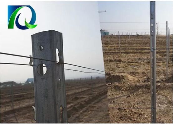 tipo poste de 3.0m m U del enrejado de la huerta del metal del cinc de 275G