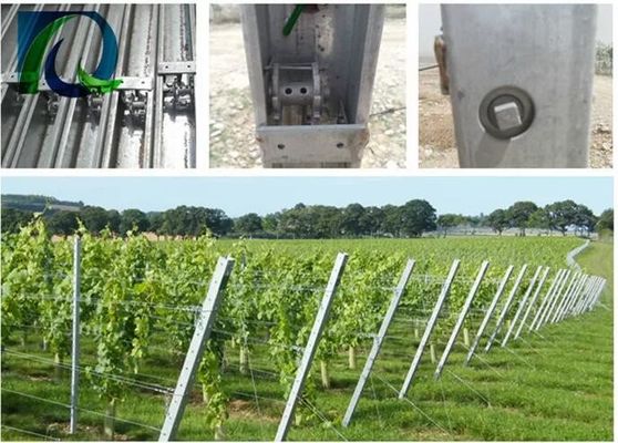 poste del enrejado de la uva de 1.5m m 54X30M M con 2 agujeros laterales de H