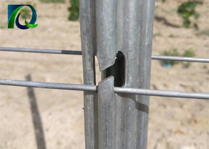 Postes resistentes del enrejado del viñedo del metal con vida de servicio larga H-formada de los agujeros